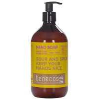 Benecos - Benecos Bio Ginger and Lemon Hand Soap