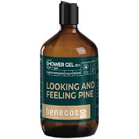 Benecos - Benecos Men's Shower Gel 2in1 Body and Hair - Stone Pine